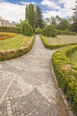 desen hedge sofiyivsky Park - uman, Ukrayna, Avrupa.