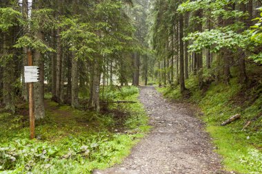 Kara dağ yolu - tatra Dağları, Polonya.