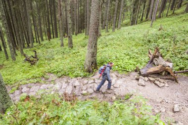 Dağ yolu - Polonya, Tatra üzerinde aktif kadınlara.
