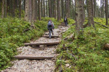 Backpacker kadın dağ yolu - Tatra, Polonya.
