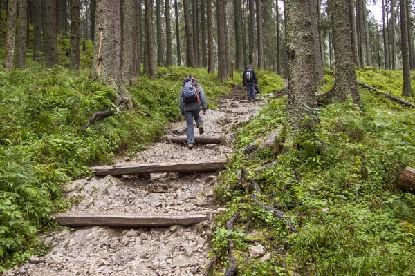 Batohem ženy na horské stezce - Tatra, Polsko. — Stock fotografie