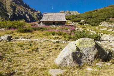 ahşap kulübe beş lakes valley - tatra Dağları, Polonya.