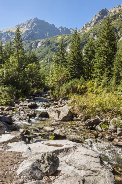 Arroyo de montaña en las montañas de Tatra — Foto de Stock