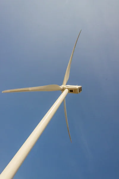 白い大きな風車 - オランダ — ストック写真