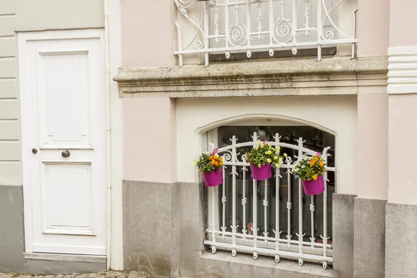 Fenêtre avec barres et trois plantes. Bruges vieille ville - Belgique . — Photo