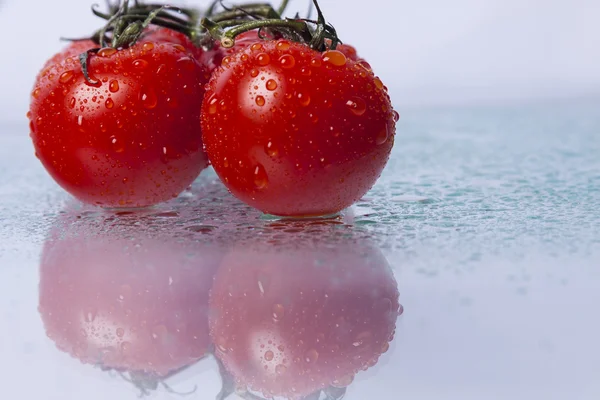 Čerstvá červená rajčata na zeleném stonku. — Stock fotografie
