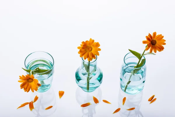 Three vase on white background. — Stock Photo, Image