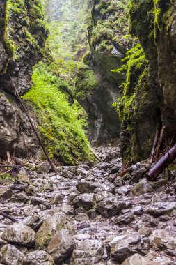 Ravine Cracow - Tatra Ulusal Parkı, Polonya.