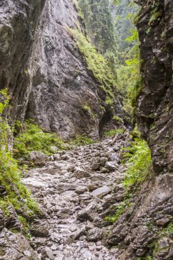 Ravine Cracow - Tatra Ulusal Parkı, Polonya.