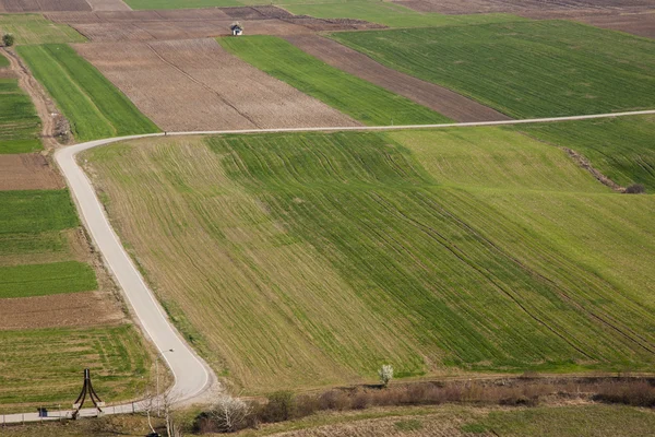 Vue aérienne sur des champs colorés - Serbie . — Photo