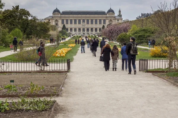 Botanisk hage før Naturhistorisk museum - Paris – stockfoto