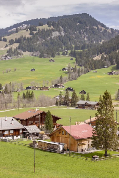 Tipico villaggio svizzero sulla valle . — Foto Stock