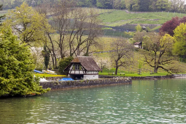 Spiez - Schweiz. — Stockfoto