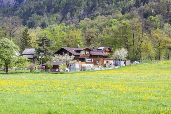 Farmland - Zwitserland. — Stockfoto