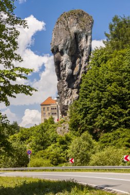 maczuga herkulesa Milli ojcow Park, Polonya