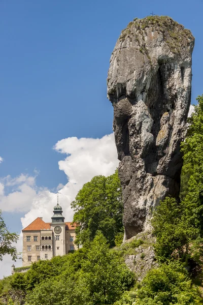maczuga herkulesa Milli ojcow Park, Polonya