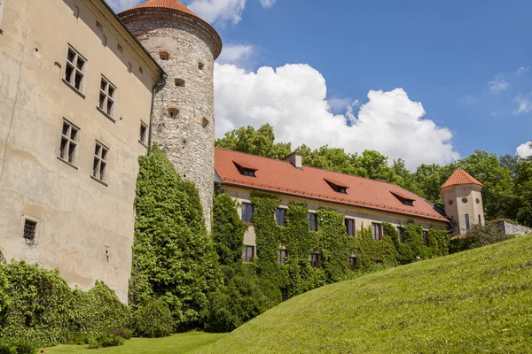 Pieskowej skala - ojców — Zdjęcie stockowe