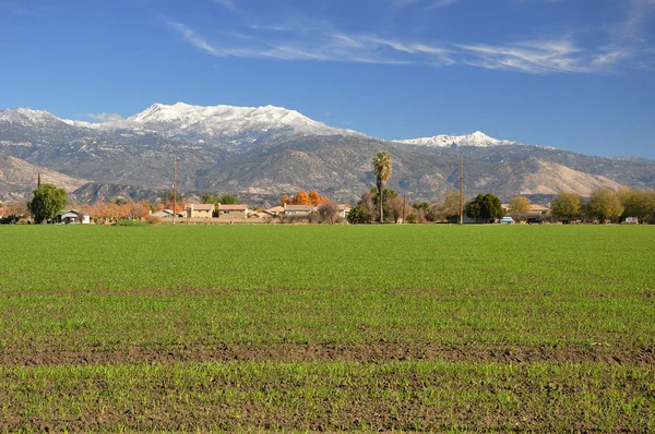 Snow-capped Mount San Jacinto Royalty Free Stock Photos