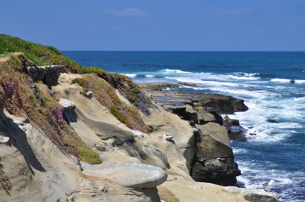 Coastal bluff view — Stock Photo, Image