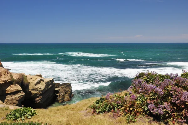 Coastal bluff view — Stock Photo, Image