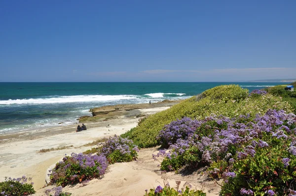 Playa en La Jolla — Foto de Stock