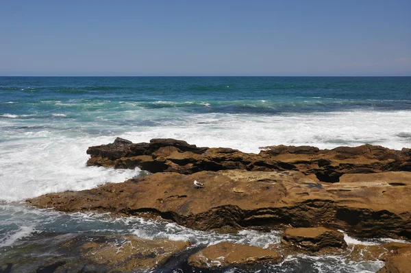 Orilla rocosa del mar Fotos De Stock Sin Royalties Gratis