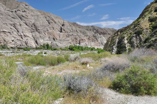 Desert canyon — Stock Photo, Image