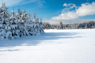 kış manzara manzara düz İlçesi ve woods ile