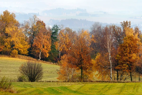 Autumny scenery — Stock Photo, Image