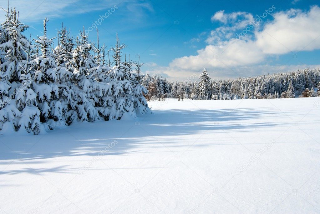 Wintry landscape scenery with flat county and woods
