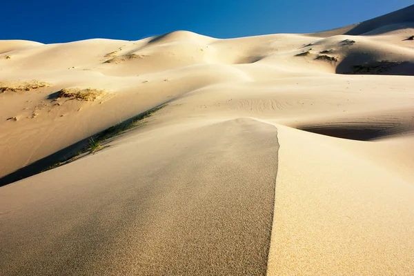 Desierto - mongolia — Foto de Stock