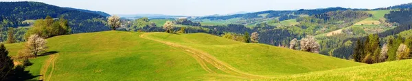 Lente uitzicht vanaf Karpaten — Stockfoto