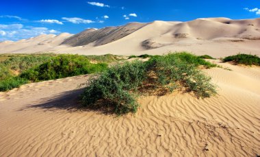 desert - mongolia clipart