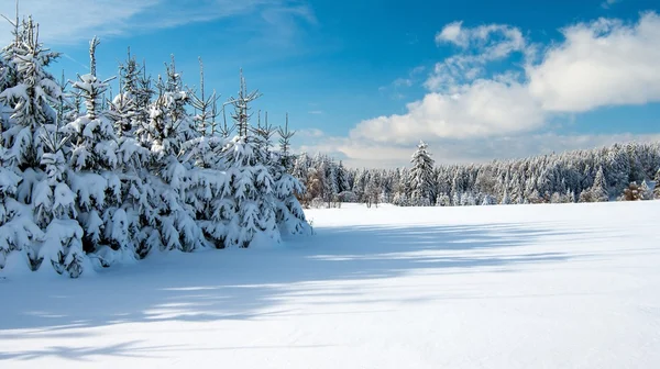 Paysage hivernal avec comté plat et bois — Photo