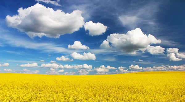 美しい雲と菜種のフィールド-緑のエネルギーのための植物 — ストック写真
