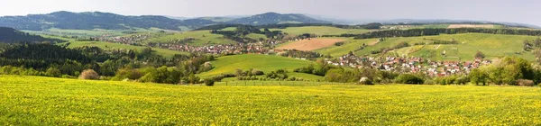 Musim semi dan padang rumput dengan bunga dandelion (taraxacum) - Pegunungan Carpathia - Desa Horni Lidec, Moravia, Republik Ceko — Stok Foto