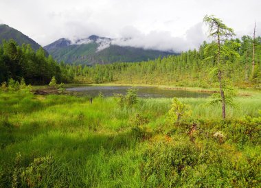 tajga sayan Dağları - buryatia - Rusya
