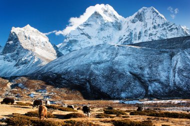 ama dablam - nepal görünümünü akşam