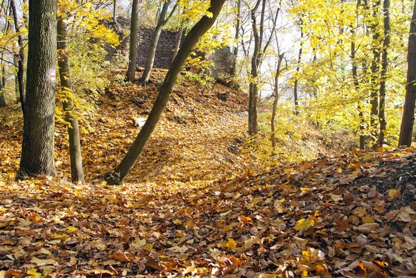 Herbstlicher Blick auf Laubwald und Waldweg mit Ruinenmauer — Stockfoto