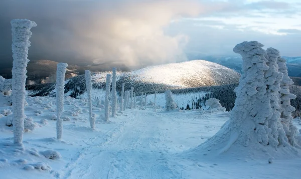 Wintry ski trail on Jeseniky mountain - Czech Republic — Stock Photo, Image