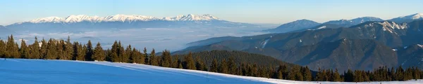Χειμερινές θέα στα βουνά υψηλής τάρτας από τα βουνά Fatra, ενώ — Φωτογραφία Αρχείου