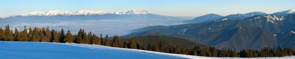 Vista invernal de las montañas del Alto Tartas desde las montañas de Fatra — Foto de Stock