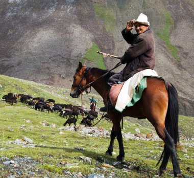 10th of October 2013 - stockrider with flock in Alay mountains on pastureland - life in Kyrgyzstan clipart