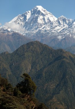 mount dhaulagiri - nepal görünümünü