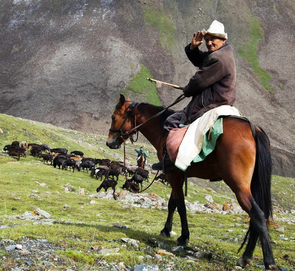 10 ottobre 2013 - stockrider con gregge in Alay montagne su pascolo - vita in Kirghizistan — Foto Stock