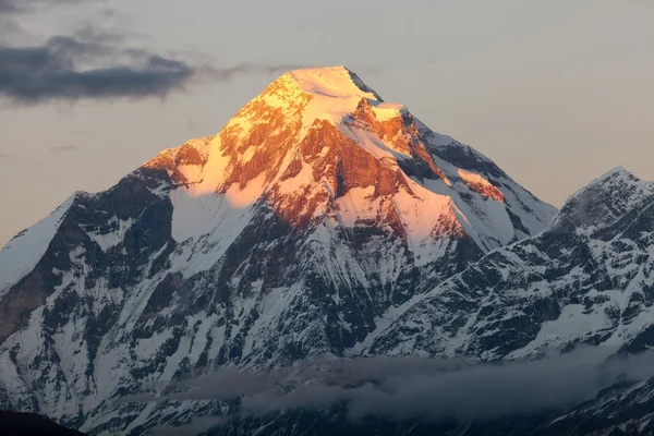 Kvällen syn på mount dhaulagiri - nepal — Stockfoto