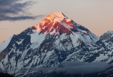 mount dhaulagiri - nepal görünümünü akşam