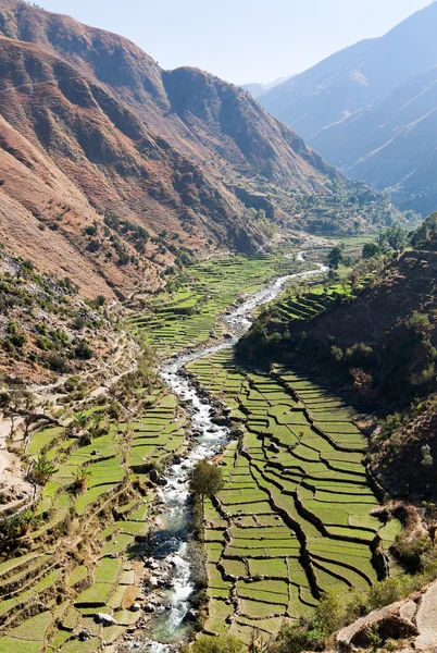Valle con risaia e fiume nel Nepal occidentale — Foto Stock