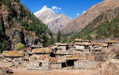 pungmo Köyü - alt dolpo - Batı nepal