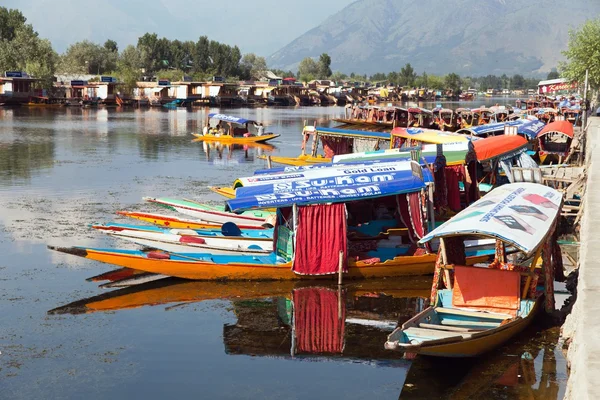 KASHMIR, INDIA - AUG 3 Shikara boats on Dal Lake with houseboats in Srinagar - Shikara is a small boat used for transportation in the Dal lake - 3rd of August 2013, Srinagar, Jammu and Kashmir, India — Stock Photo, Image